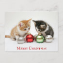 Search for christmas kitten postcards Cute