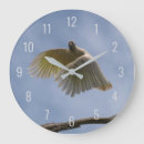 Search for parrot clocks Bird