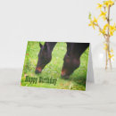 Search for grazing cards Horse