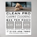 Search for carpets Cleaners