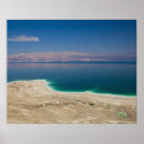 Search for dead posters Desert