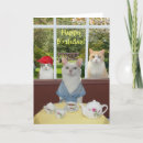 Search for birthday gifts Cat