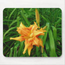 Search for daylily mousepads Bloom