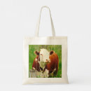 Search for cuddly bags Animals