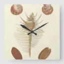 Search for with fives clocks Beach