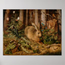 Search for hare posters Renaissance
