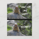 Search for funny meme postcards Cute