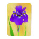 Search for purple iris magnets Flower
