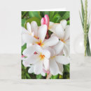 Search for floral number cards Tropical
