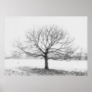 Search for winter tree the posters Wood