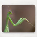 Search for mantids mousepads Closeup