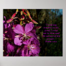 Search for words of comfort posters Bible