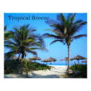 Search for palm tree art Sky