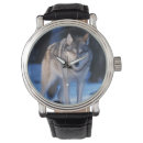 Search for wolf watches Snow