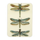 Search for collectable magnets Collection