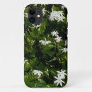Search for jasmine flower iphone cases Floral