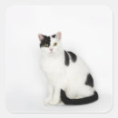 Search for black and white spot stickers Animals