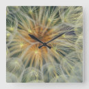 Search for danita delimont clocks Pattern