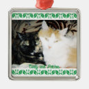 Search for tortie cat christmas tree decorations Cats