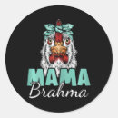 Search for silky stickers Rooster
