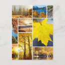 Search for country bridges postcards Countryside