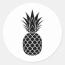 Search for tropical fruit stickers Hawaiian