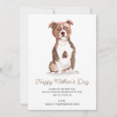 Search for pet rescue cards Dog