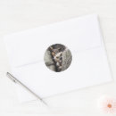 Search for wild bird stickers Ornithology