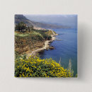 Search for shorelines badges Coast