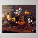 Search for melchior Birds
