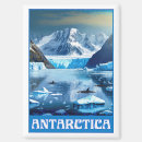 Search for orca whale magnets Glacier