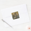 Search for cub stickers Wild animals