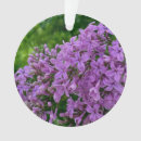 Search for lilac flower christmas tree decorations Lilacs