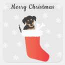 Search for stock dog stickers Merry christmas