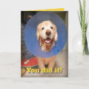 Search for funny dog graduation cards Diploma