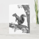 Search for squirrel drawing cards Animals