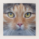 Search for cat face puzzles Beautiful