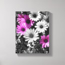 Search for black and white daisy art Nature