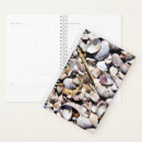 Search for seashell office supplies Beach