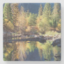 Search for sierra nevada coasters Landscape