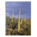 Search for cactus notebooks Foliage