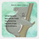 Search for australian koala bear stickers Outback
