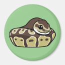 Search for snake pet magnets Python