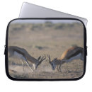 Search for side view cases Nature
