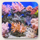 Search for saltwater coasters Ocean