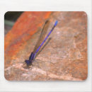 Search for damselfly mousepads Animal