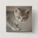 Search for pet portrait badges Feline