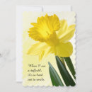 Search for daffodil photography Yellow