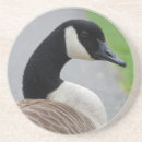 Search for waterfowl barware Canada