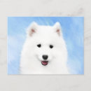 Search for samoyed dog postcards Bjelkier